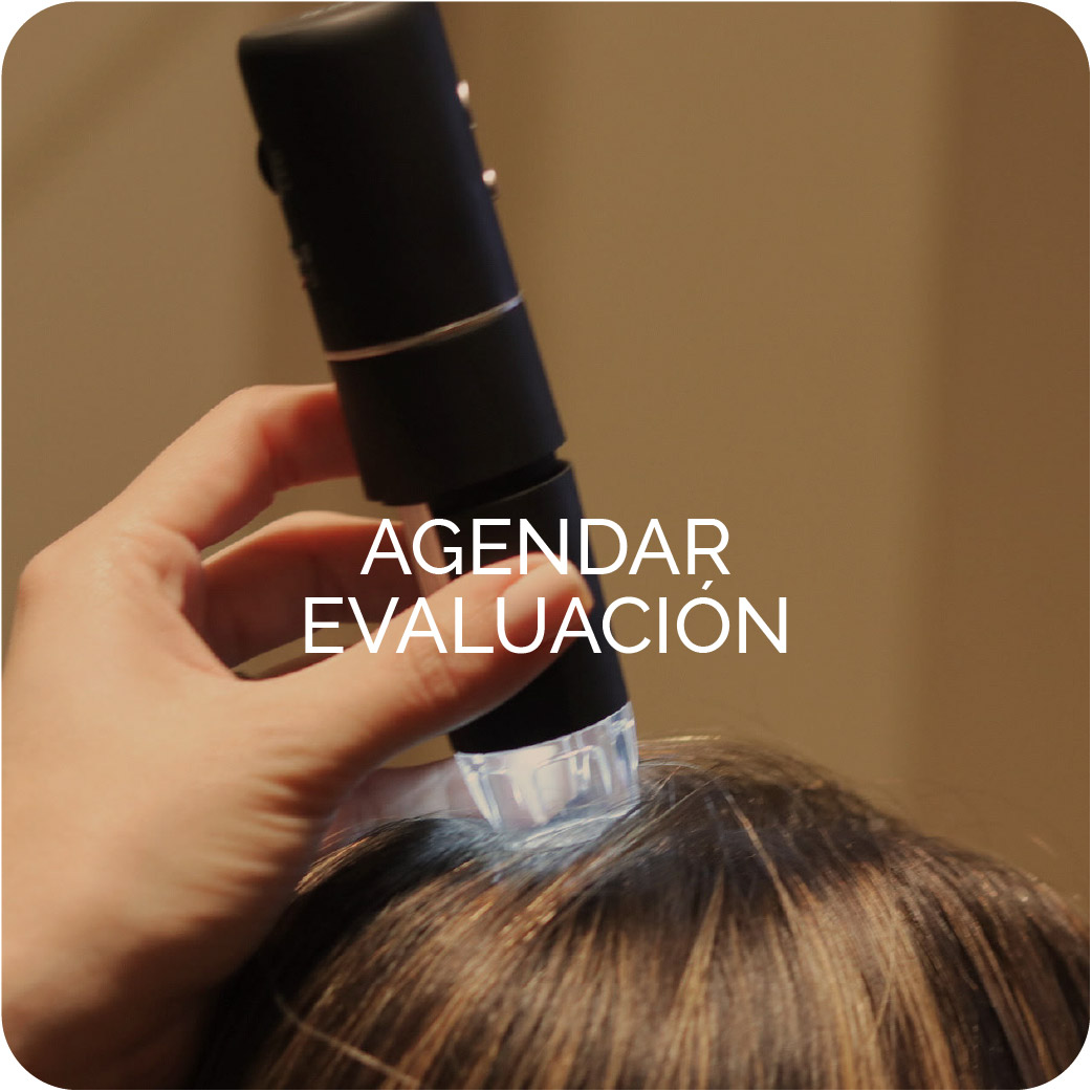 Agendar Evaluación